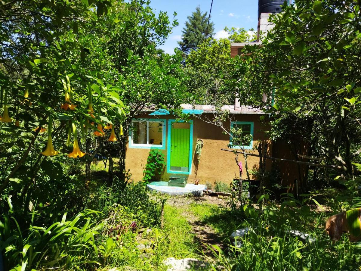 Appartamento Casa Ecologica Tepoztlán Esterno foto