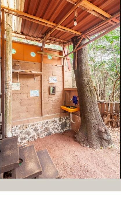 Appartamento Casa Ecologica Tepoztlán Esterno foto