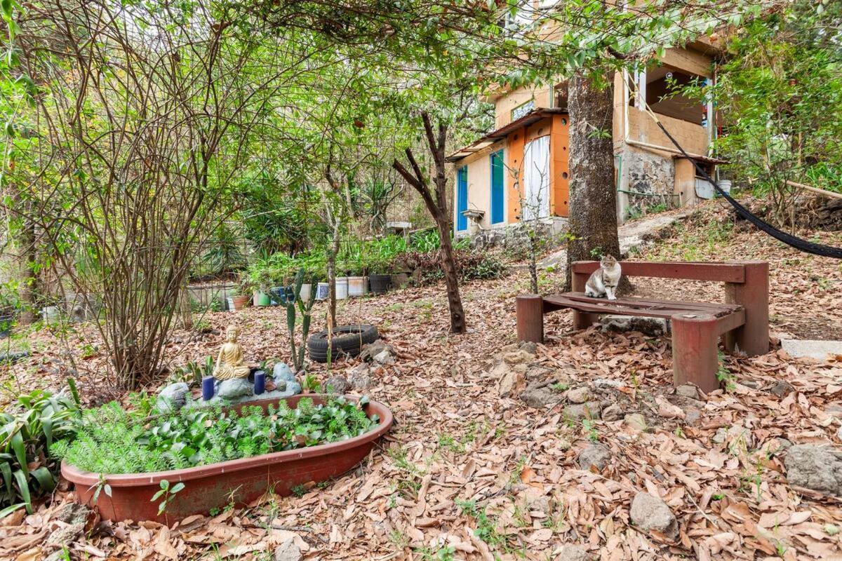 Appartamento Casa Ecologica Tepoztlán Esterno foto