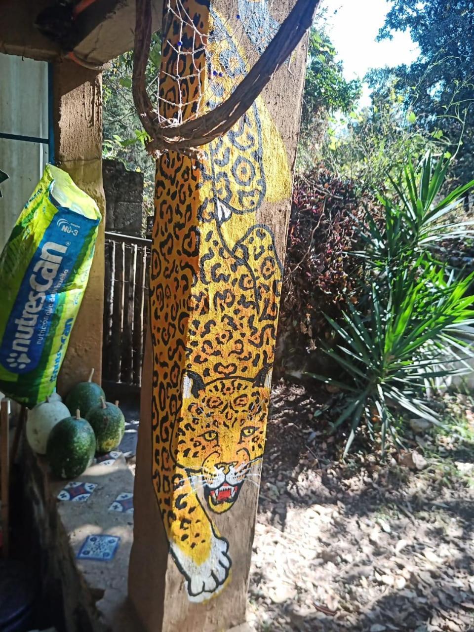 Appartamento Casa Ecologica Tepoztlán Esterno foto
